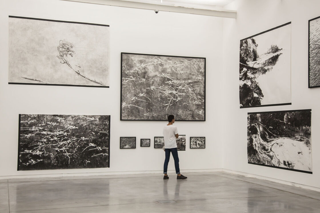 2015 La Laguna de Zempoala